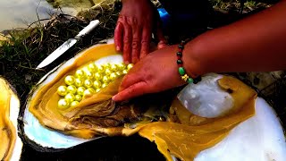 what are pearls in oysters  oysters with pearls opening  how do oysters make pearls  fishing 4k [upl. by Krahling979]