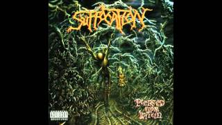 Suffocation  Depths of Depravity HQ [upl. by Dominique312]