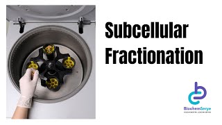 Subcellular Fractionation  Cell Fractionation  Biochemistry [upl. by Suillenroc]