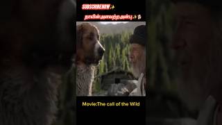 நாயின் அளவற்ற அன்பு tamilvoiceover mrtamilan moviereview shortsfeed shorts dog doglover [upl. by Aiden]