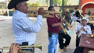 MADRE MÍA😱🔥  que GRANDES MAESTROS TIENE CAHUATACHE GRO y son las VOCES más PRESTIGIOSAS [upl. by Lorola]