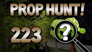 Rooftop amp Tree Turtles Prop Hunt 223 [upl. by Libbey]