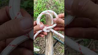 The python knot is particularly useful for tying long objects knot knottying shorts [upl. by Attenaz]