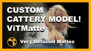 Custom Cattery Model  Create High Detail Mattes With ViTMatte  Nuke [upl. by Naltiac]