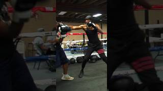 I Tried Light Sparring with the Boxing Coach [upl. by Dragone]