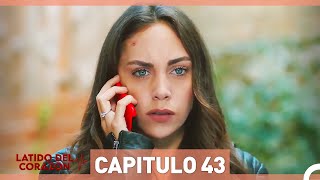 Latido Del Corazon Capitulo 43 Doblaje al Español [upl. by Oneladgam]