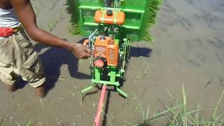 Review Mesin Tanam Padi Unik Simple hand made DIY Rice Transplanter [upl. by Rosario18]