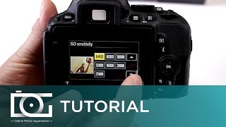 NIKON D5500 TUTORIAL  What Is The Highest ISO [upl. by Ellatnahc]