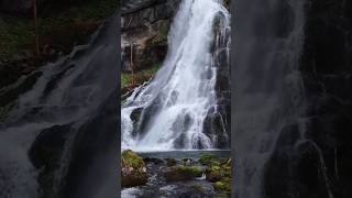 Gollinger Waterfall 🇦🇹🚁 drone djimini4pro dji waterfall austria shorts subscribe [upl. by Letch858]