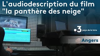 Cinéma  un narrateur angevin pour laudiodescription du film quotLa panthère des neigesquot [upl. by Cartie]