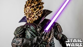 Why Most Sith HATED Purple Lightsabers  Star Wars Explained [upl. by Ytsirhc]