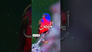 Asma ul husna 99 names of Allah asmaulhusna 99namesofallah viralshorts short [upl. by Aerdnak]