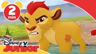 Løvernes garde  På safari med Kion  Disney Junior Danmark [upl. by Mouldon832]