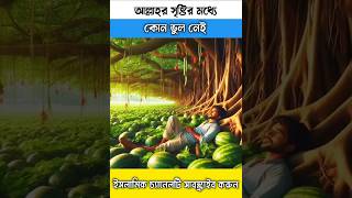 আল্লাহর সৃষ্টির মধ্যে কোন ভুল নাই facts tiktok cartoon shortsfeed shorts islamicvideo gojol [upl. by Mary507]