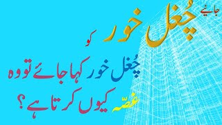 Lesson  Chughal Khor  چغل خور  अपवादक URDU Class 10 [upl. by Nadual]