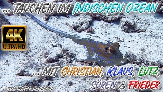 Tauchen im Indischen Ozean 🐳 🐡 🐬 … [upl. by Anuaf]