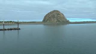 2024 5 25 Morro Bay Whale Watching Camera [upl. by Yllek]