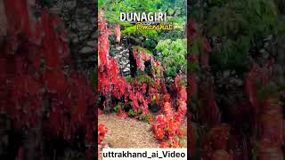 Dunagiri Mandir kyu famus hai sanjaypandey hindufestival [upl. by Kilmarx]