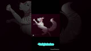 Saddest deaths in warrior cats 4 warriorcatswarriorcatseditfypシedit wcbristlefrost yellowfang [upl. by Murtha998]