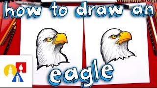 How To Draw A Realistic Bald Eagle Head [upl. by Hsima]