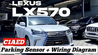 C1AED Rear Sensor Communication Circuit Lexus Lx570  Wiring Diagram  Solution 💯 🔥 [upl. by Hallerson323]