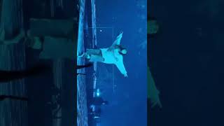 Highlights from Toronto billieeilish hitmehardandsoft concert highlights shorts fyp [upl. by Oz256]