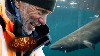 Catching A 7ft 213m Long Greenland Shark  SHARK  River Monsters [upl. by Atiloj5]