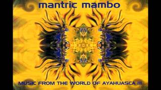 Mantric Mambo  Todos Juntos [upl. by Annawad]