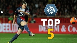 Zlatan Ibrahimovic  Top 5 Free Kicks  Ligue 1  PSG [upl. by Auop]