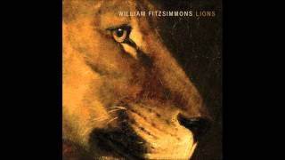 William Fitzsimmons  Josies Song Lions 2014 [upl. by Niltac]