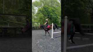 Erol jumping on angles 🚀First time jumping angles and he was flying horses jumping showjumping [upl. by Warder]