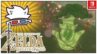 Breath of the Wild Hestu is Bestu  PART 12  ChaoticShadow24 [upl. by Ho662]