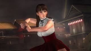 DEAD OR ALIVE 5 Last Round LEIFANG VS HITOMI COM 7 01 [upl. by Noillid]