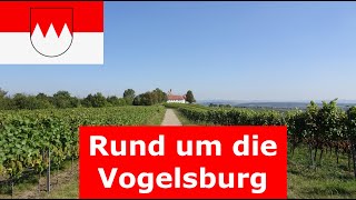 🚶🏽‍♂️ Sonnige WeinWanderung rund um die Vogelsburg am Main bei VolkachNordheimEscherndorf [upl. by Rafter22]