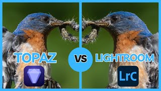 The Truth Revealed Lightroom Denoise AI vs Topaz AI [upl. by Kcirdneh]