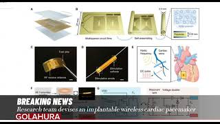 Research team devises an implantable wireless cardiac pacemaker [upl. by Beckie]