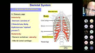 Lecture 2 Skeletal system july 2024 [upl. by Macy]