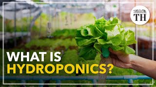 All about Hydroponics [upl. by Naesad]