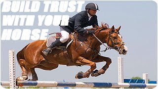 How To Build Trust With Your Horse [upl. by Spratt]