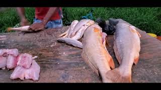 Fish cleaning at Meadow Bank Wharf Georgetown Guyana 🇬🇾 [upl. by Ytsanyd]