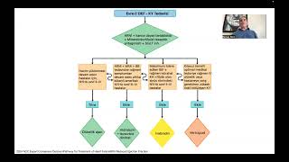 10 Years of Experience with ARNI SacubitrilValsartan in the Treatment of Heart Failure [upl. by Esteban554]