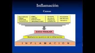 Inflamacion  Fisiopatologia Parte 1 [upl. by Bowie]