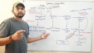 Cytokinin BiosynthesisPhytohormone in Hindi [upl. by Hankins194]