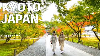 【4K】Autumn Kyoto Nanzenji Temple Walking Tour  JAPAN 2022 [upl. by Nibor414]