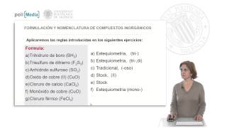 Tipos de nomenclaturas Soluciones ejercicio práctico  37101  UPV [upl. by Blen130]