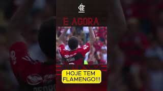 HOJE TEM FLAMENGO FLAMENGO X CUIABÁ shorts flamengo brasileirao futebol [upl. by Turmel]