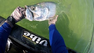 45lb to 55lb TARPON from a KAYAK on an 8wt FLY ROD [upl. by Eninnej]