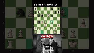 Amazing Tal 3 BRILLIANT MOVE IN ONE GAME chess yt [upl. by Enileuqcaj]