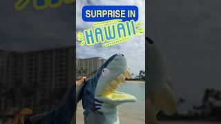 Tibbys HAWAII Surprise  Hawaii for Kids hawaii kidshort shortsforfun kidtimestorytime [upl. by Eikcir]