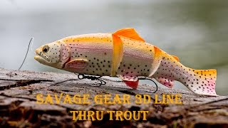 Savage Gear Line Thru Trout tutorial [upl. by Puff]